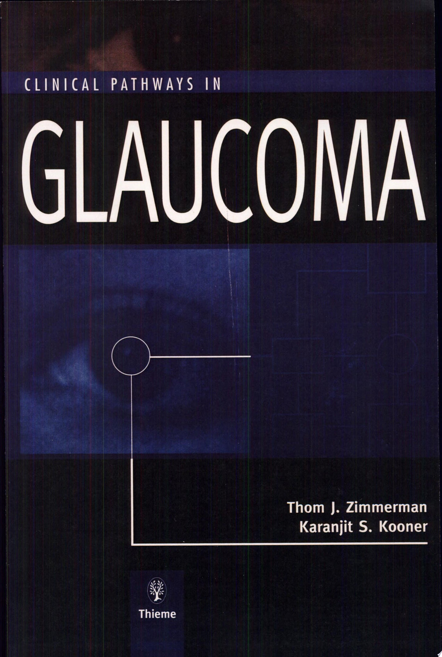 Clinical Pathways in Glaucoma