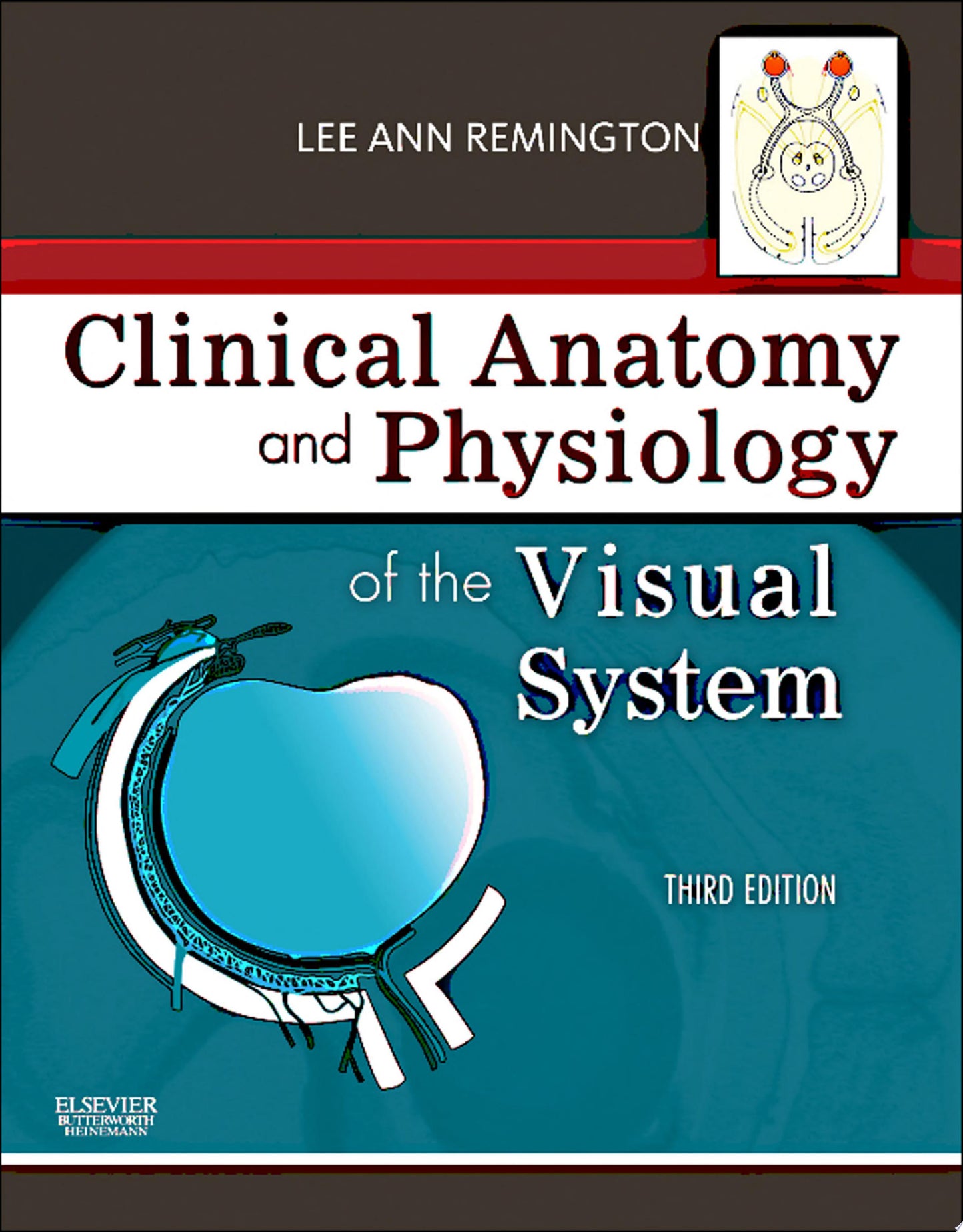 Clinical Anatomy and Physiology of the Visual System, 4th edition