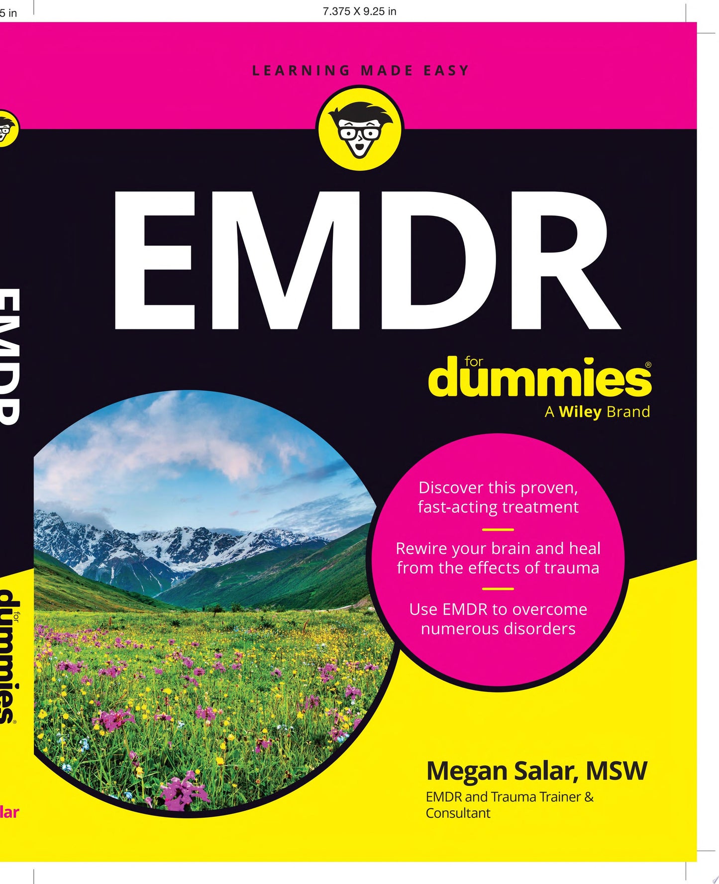 EMDR For Dummies